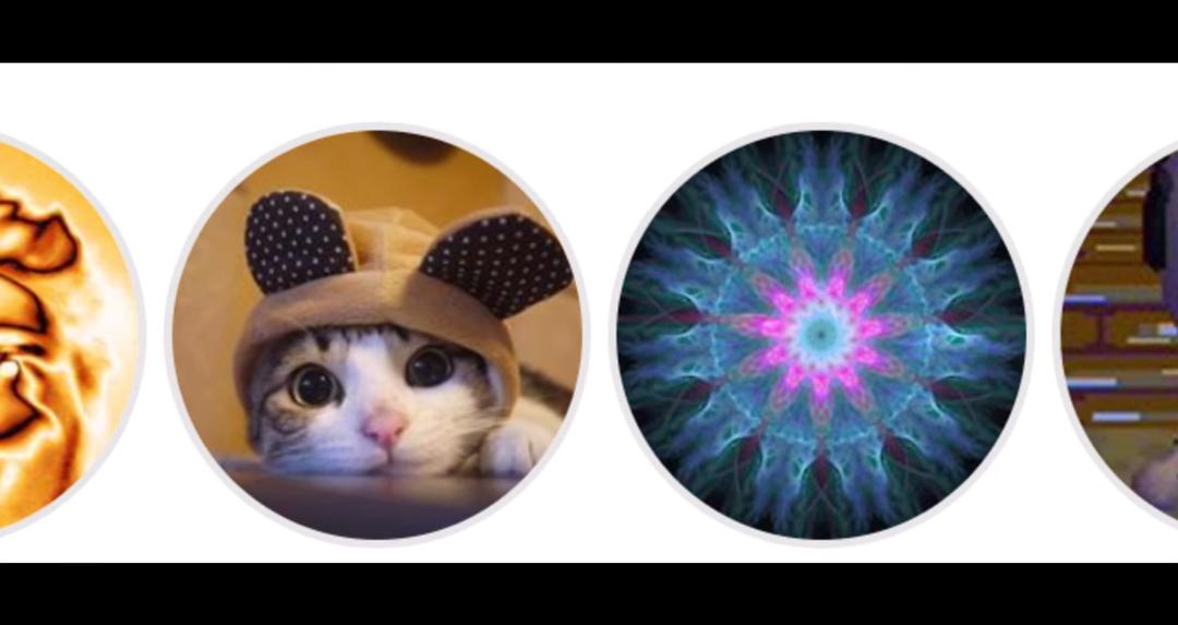 《别惹猫咪:追捕虐猫者》剧照第1张图片 《别惹猫咪:追捕虐猫者》剧照第1张图片